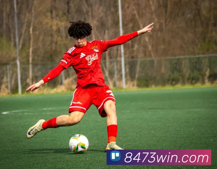 8473新葡京官网APP 高清赛事图