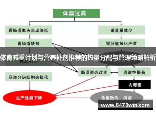 体育减重计划与营养补剂推荐的热量分配与管理策略解析