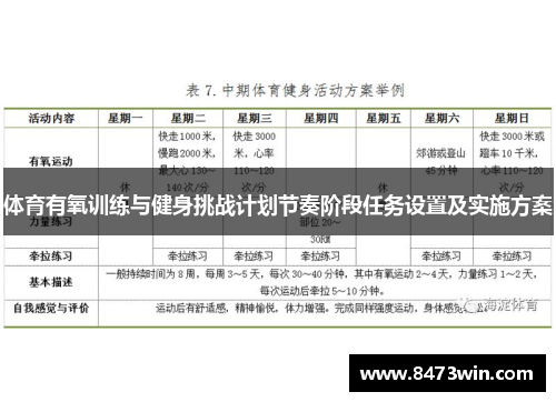 体育有氧训练与健身挑战计划节奏阶段任务设置及实施方案
